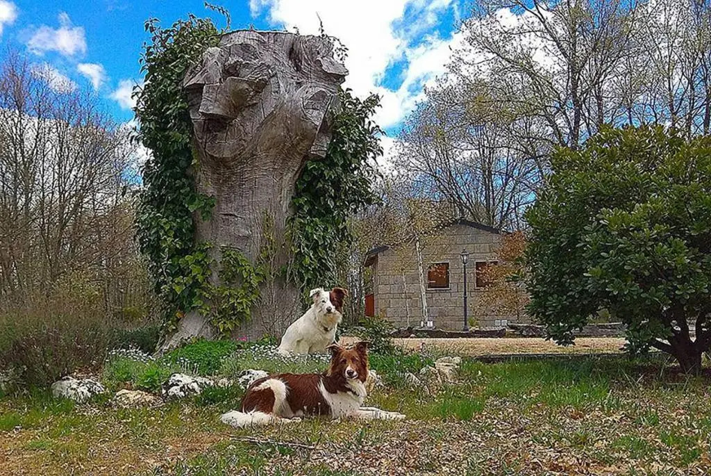 Cabañas Vallecino
