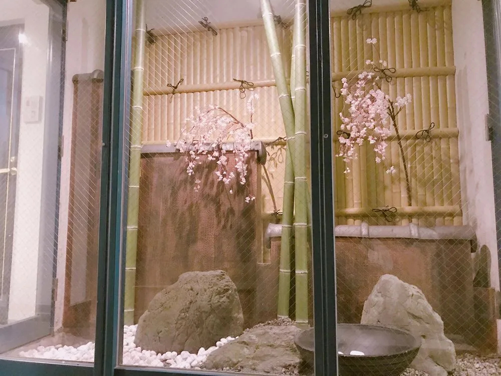 Kyoto Hostel GLOIRE