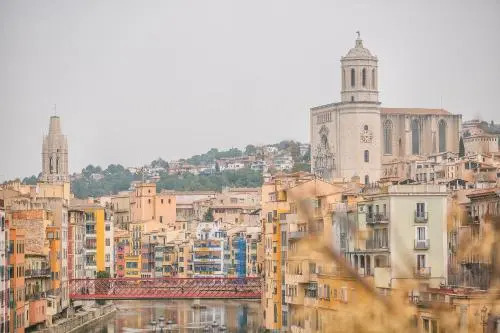 Flateli Plaça Catalunya 1.1