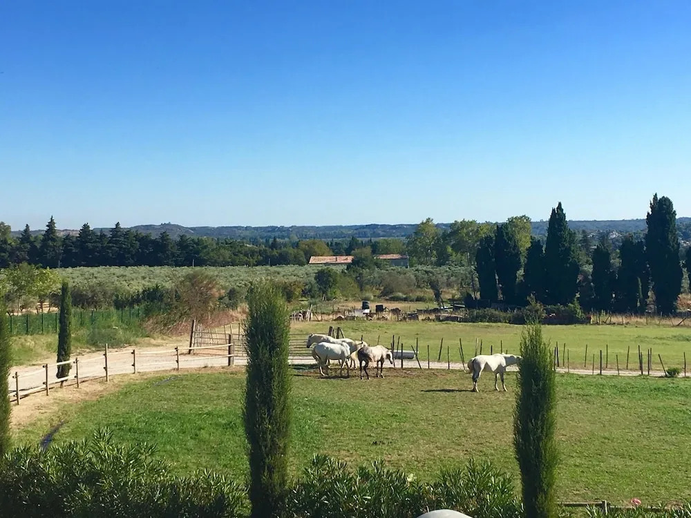 Apartment With one Bedroom in Maussane-les-alpilles, With Pool Access,