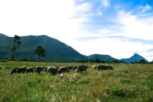 Love Earth Farm