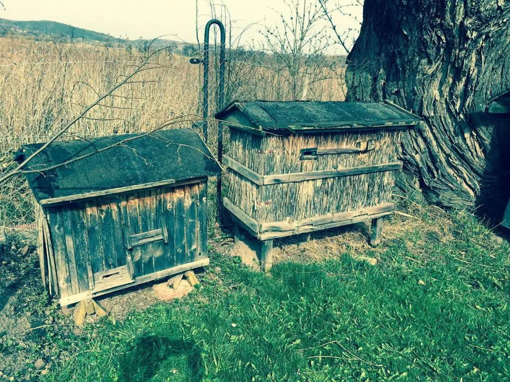 Apartamenty i Pokoje Aneta