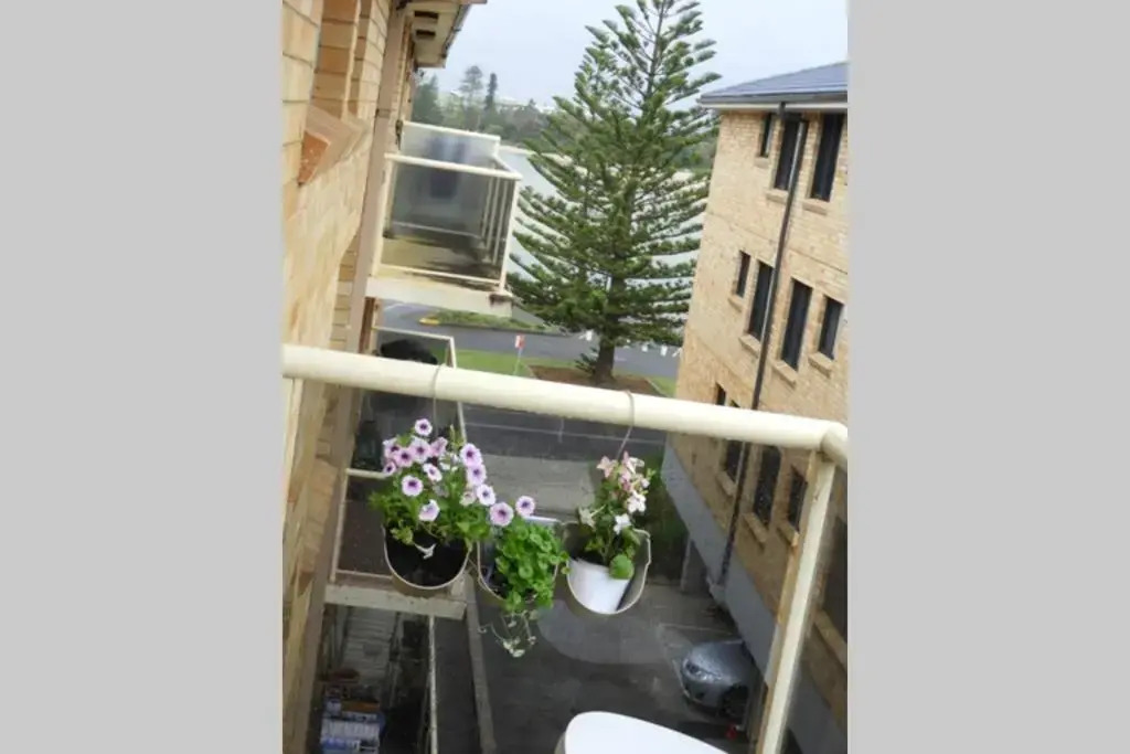 Digby's Place - waterfront apartment