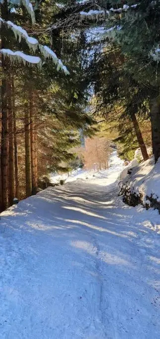 Residenza Sofia - Ponte di Legno fraz. Pezzo