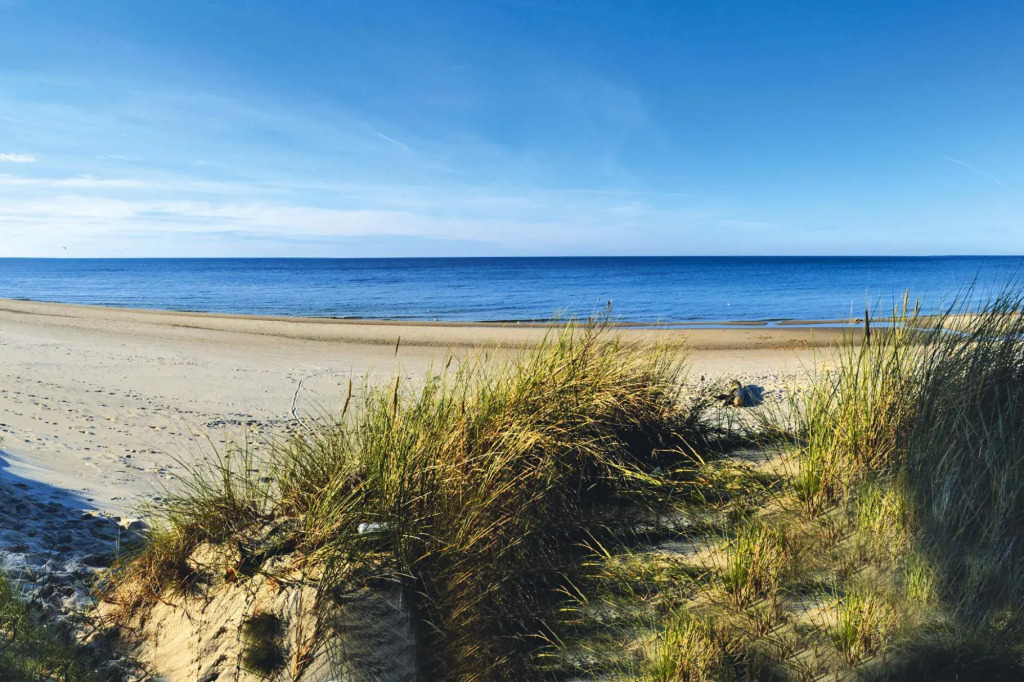 Comfortable holiday homes close to the beach