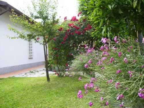 B & B Sachawasi