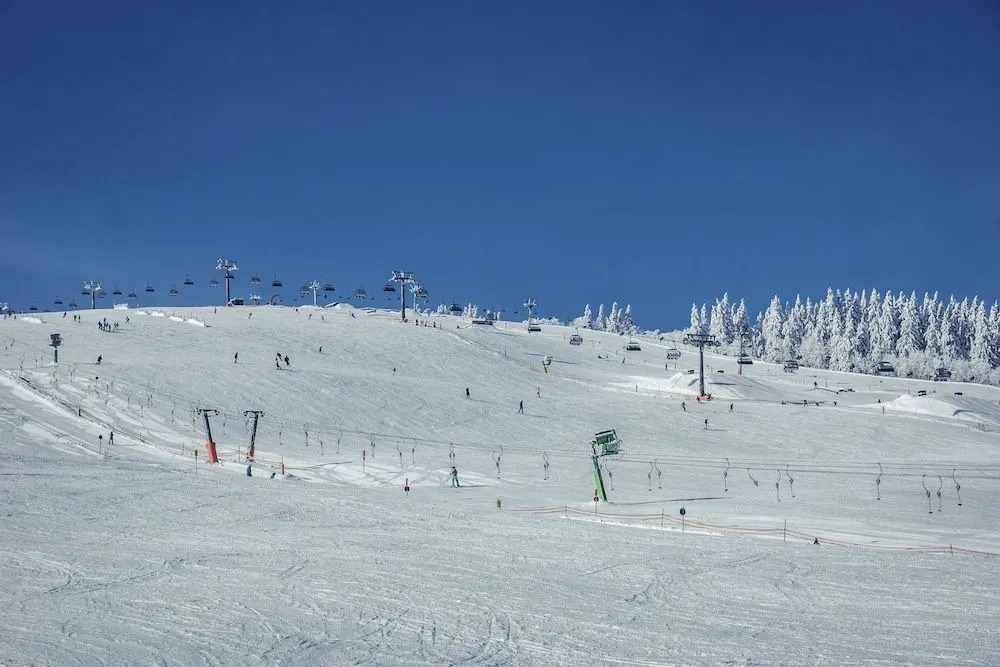 Kuckucksnester Feldberg
