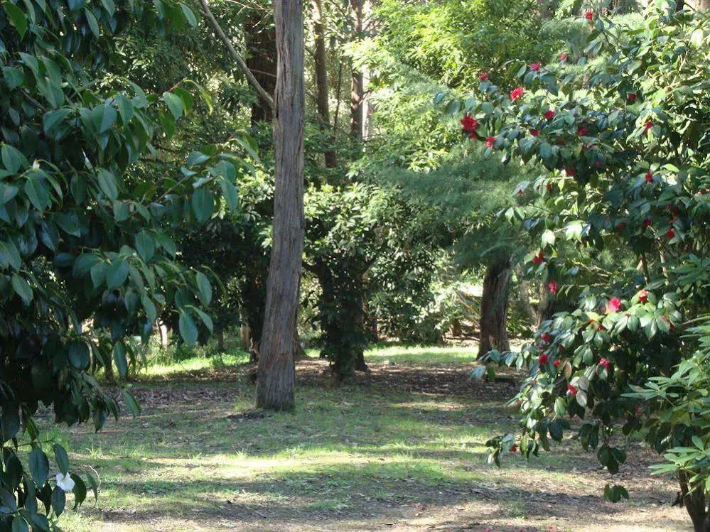 Sunway Farm Bed & Breakfast and Rosebud Cottage
