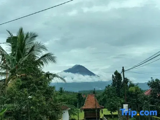 Karyakita Homestay Magelang Rumah All in
