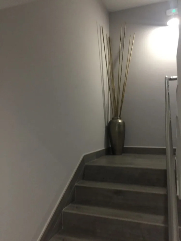 San Vicente Apartments