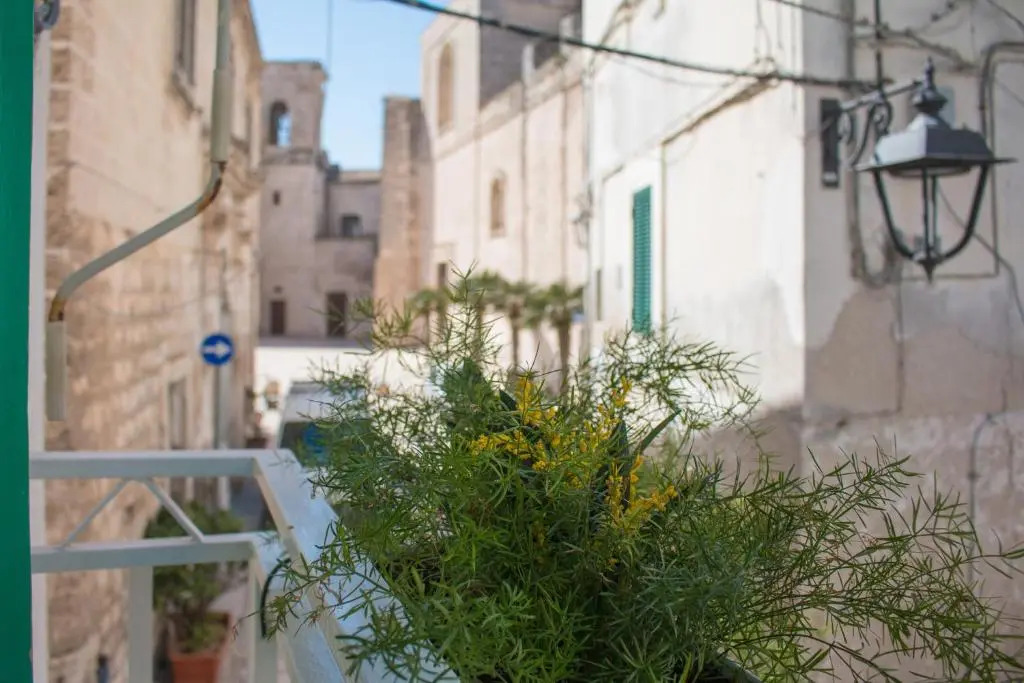 Appartamento Piazza Palmieri