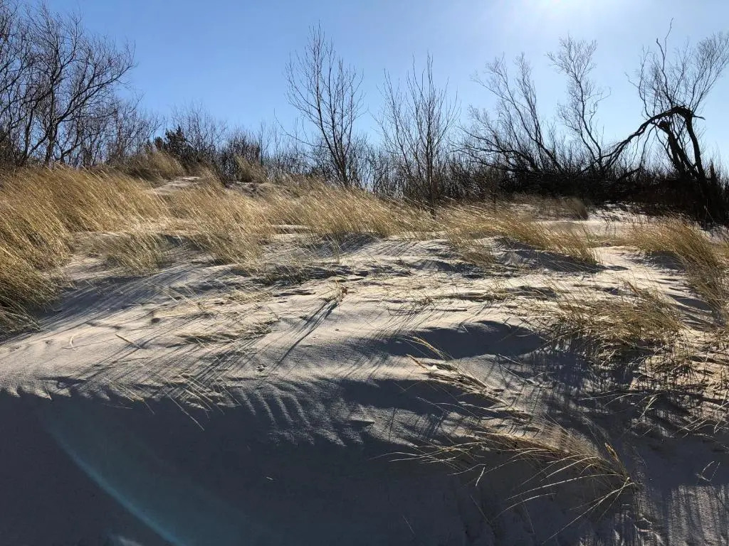 Hilltom by the Sea