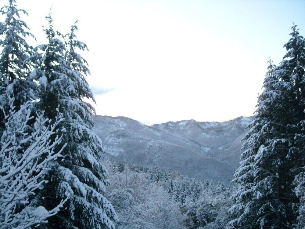 Villa in Tuscany, in the National Park of the Casentino Forests, Near Camaldoli
