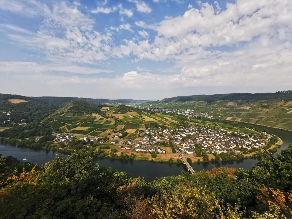 Ferienwohnung Moselpanorama