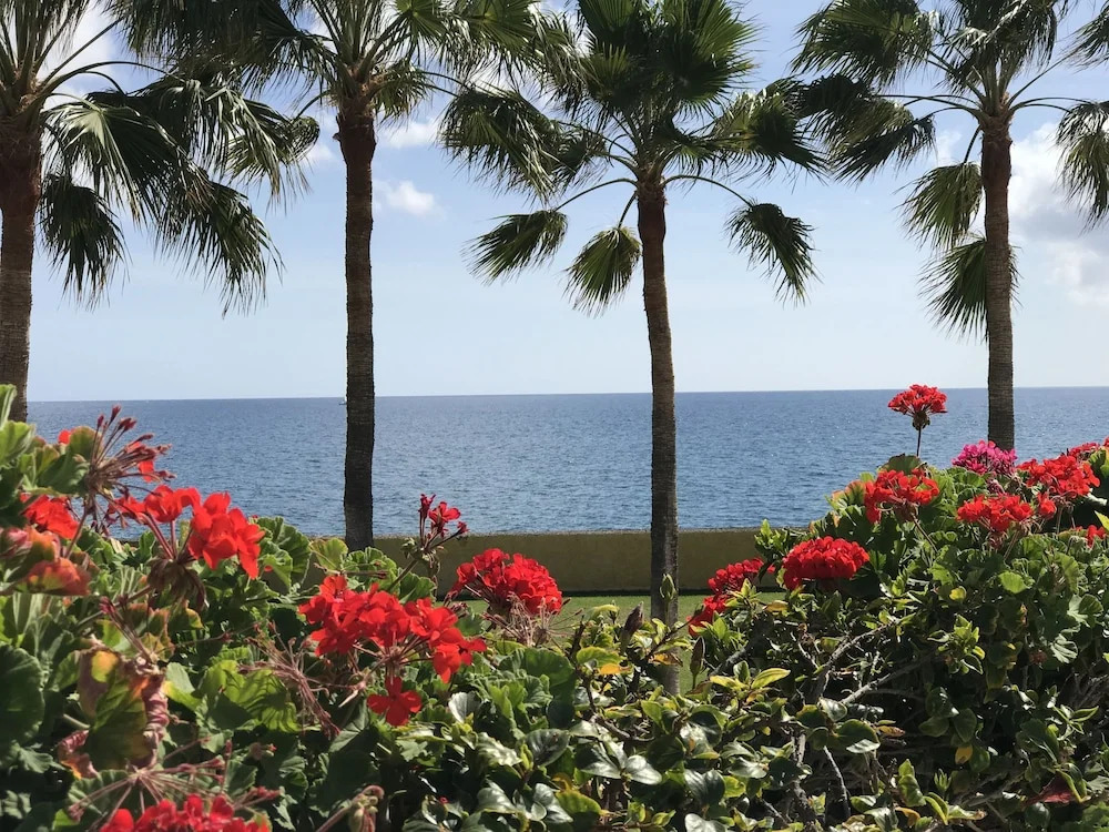 Pasito Blanco Fantastic Sea View