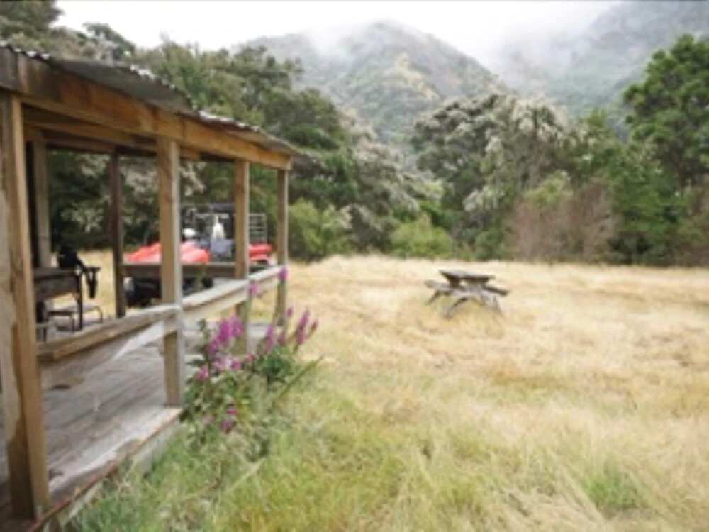 Kawakawa Cottage