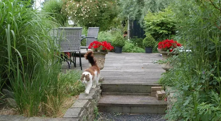 B&B De Zeeuwse Tuinkamers