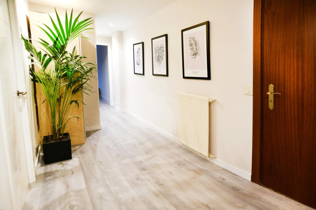 Luxury Cercas Bajas Vitoria