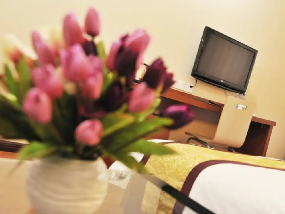 GreenTree Alliance TianJin BeiChen District JingJin Highway NanCang Bridge Hotel