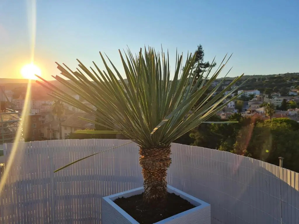 LE ROOFTOP - Hyper centre - 5 pers - Climatisation