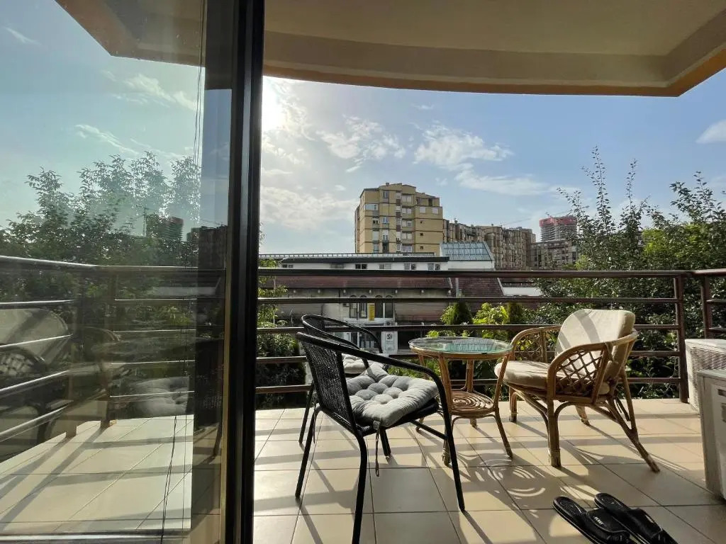 Huge Apartment with a Garden in the City Center