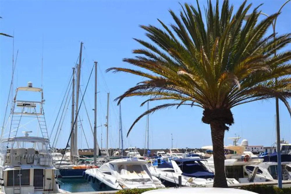 Bungalow Pasito Blanco Marina Port 1