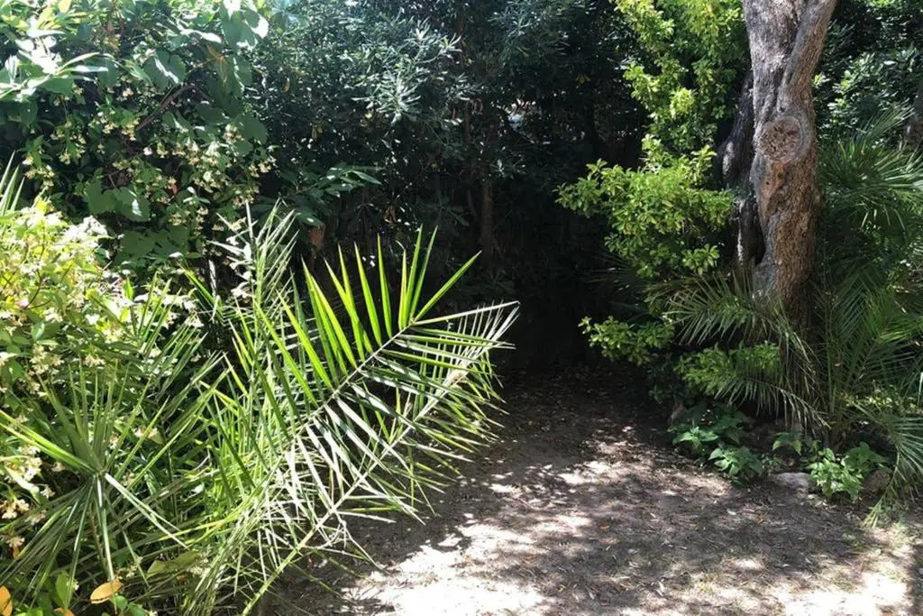 House with garden Baia dei Saraceni