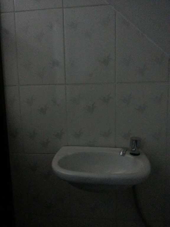 Wolf Hostel