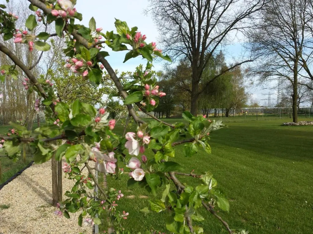 B&B Johannes-Hoeve