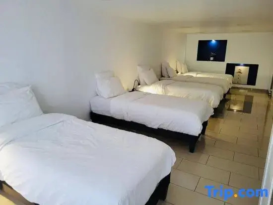 Spacious Apt 8 Beds - with Terrace Near CDG Disneyland - 30 Min