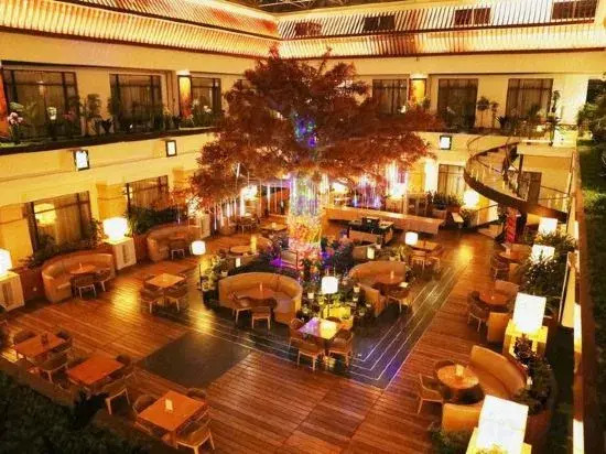 Amber Theme Hotel