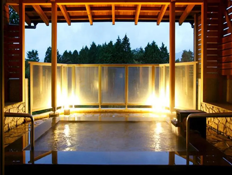 Hotel Hakone Powell
