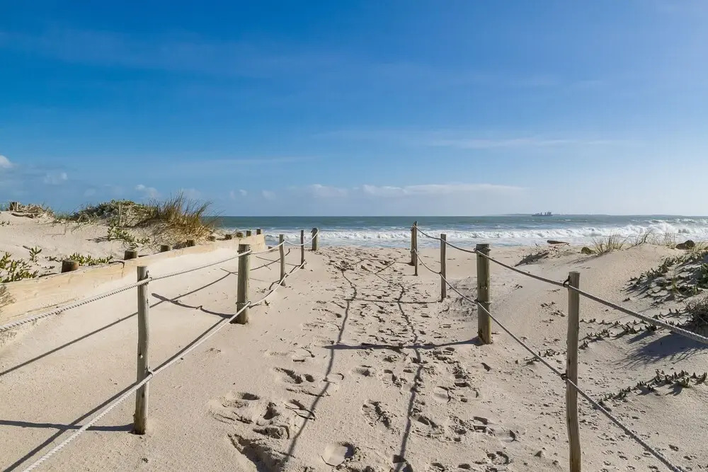 Dolphin Beach E35