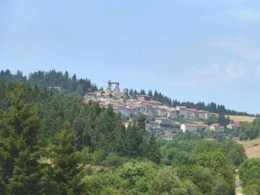 Maison calme avec grand terrain, proche commodités et sites médiévaux - FR-1-582-133