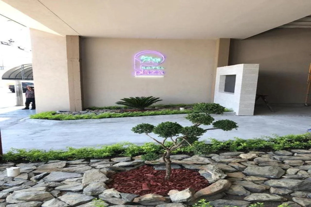 Hotel Plaza Arteaga