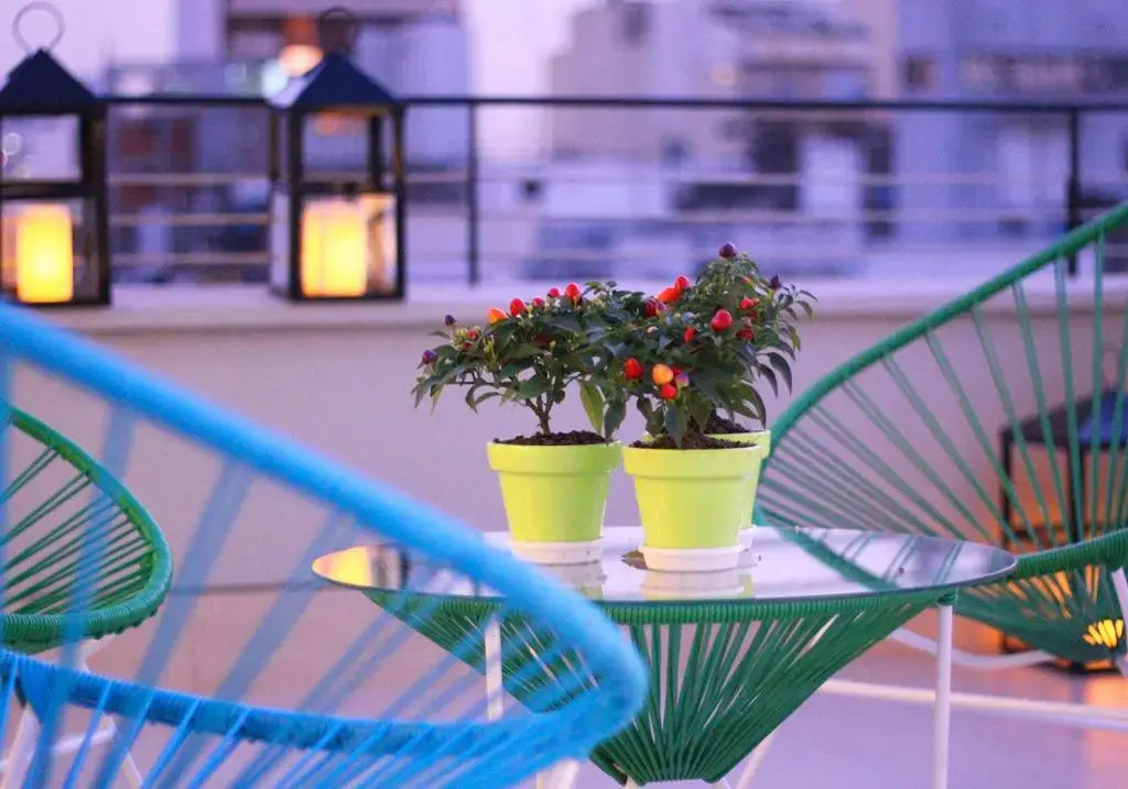 Bulnes Eco Suites