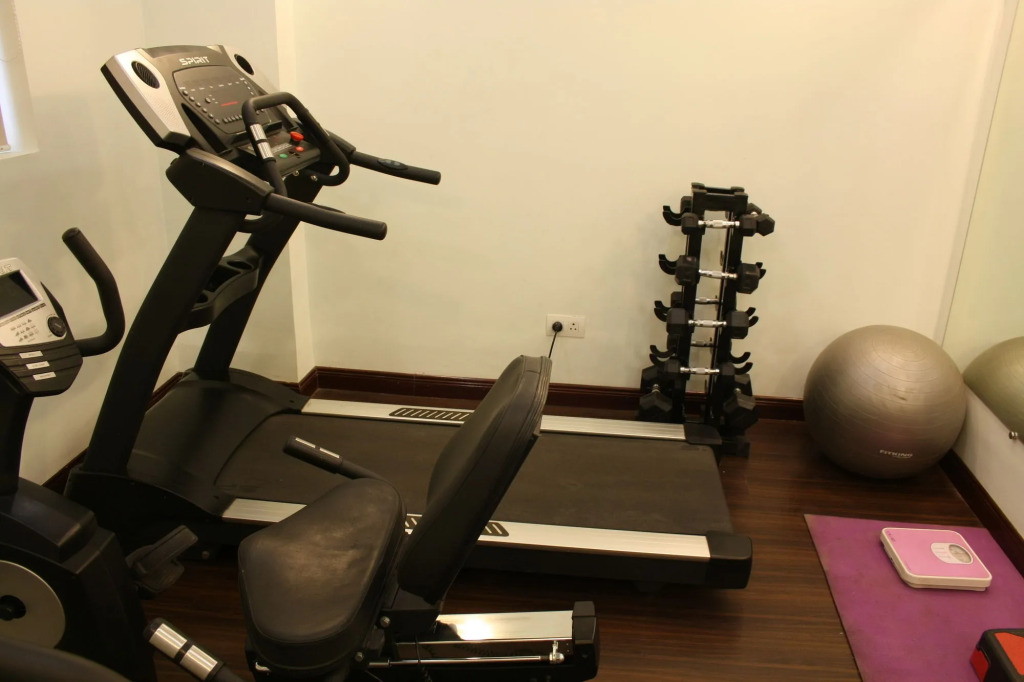 Ginger Faridabad