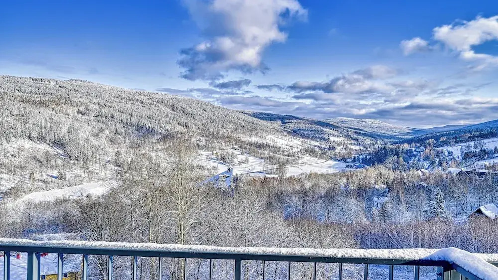 Apartamenty Sun & Snow IzerSKI Resort