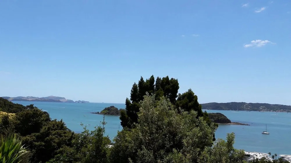 Top of the Bay