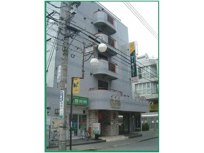 Business Hotel Mercury-Royal Inn Group