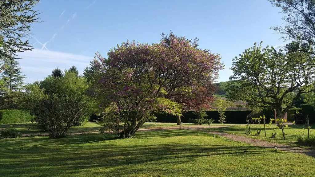 B&B Des Histoires dAnges - Côté Jardin - Accueil Vélo