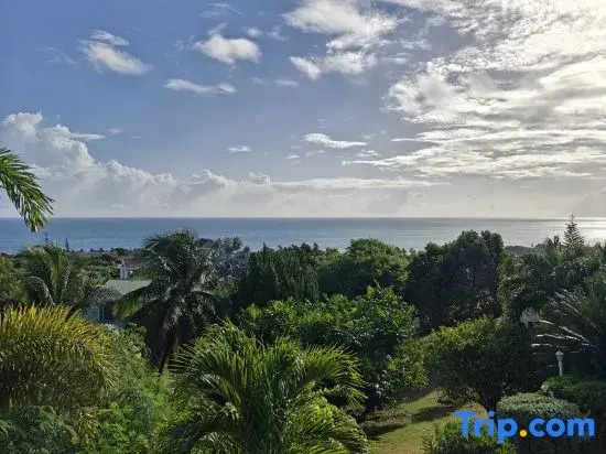 LaBelleVue Antigua Oceanview Suites and OnSite Car Rentals