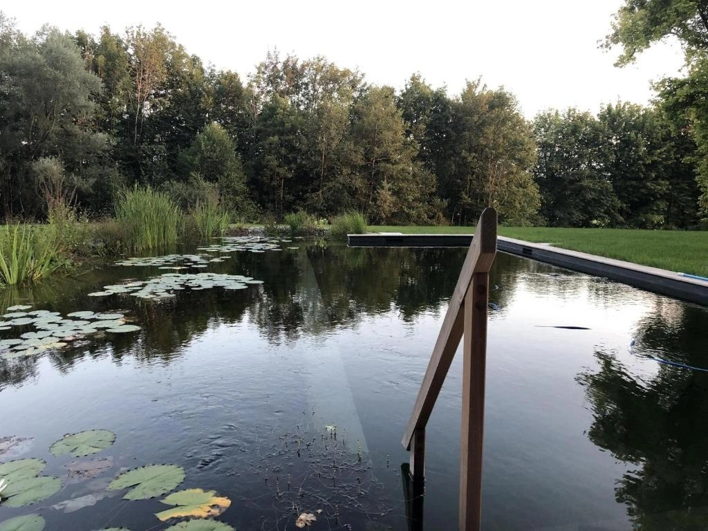 Riedhof 2
