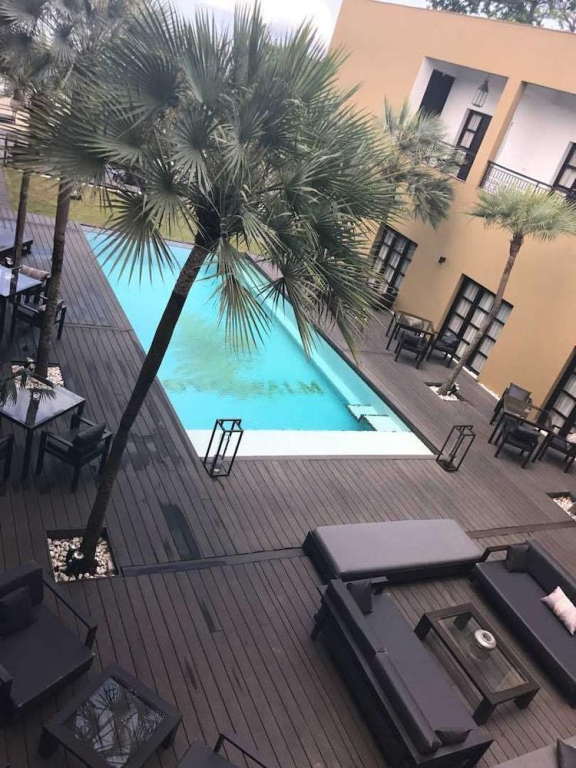 Royal Palm