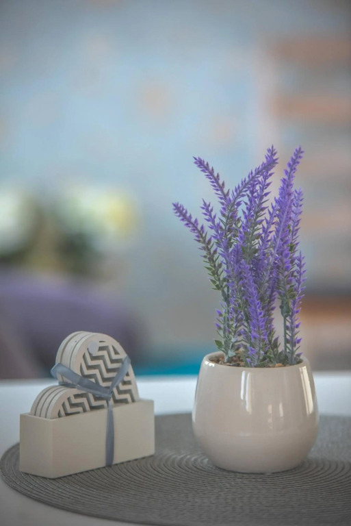 Roosi apartment Haapsalu
