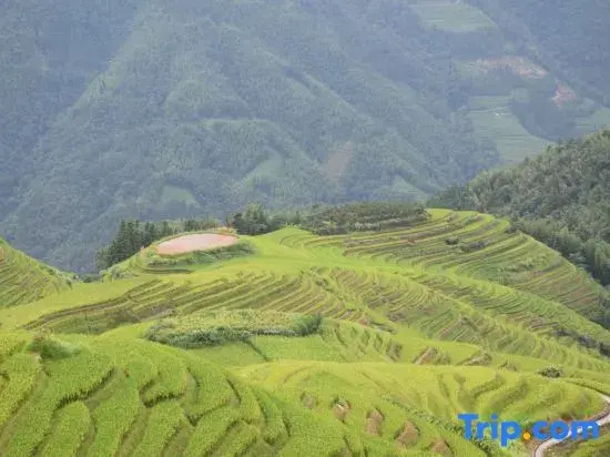 Longsheng Qishanyue Homestay (Qixing Banyue Viewing Platform)