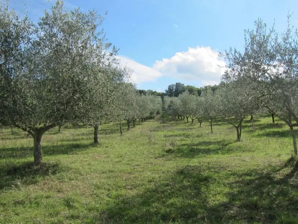 Agriturismo Podere Paugnano