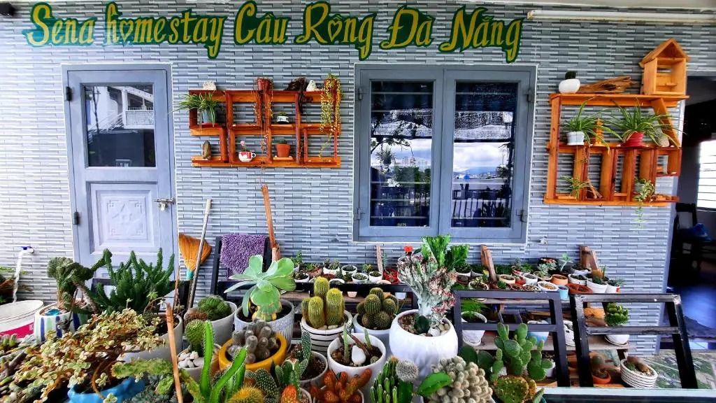 Sena home 4th-Rooftop Overlooking Danang Dragon bridge