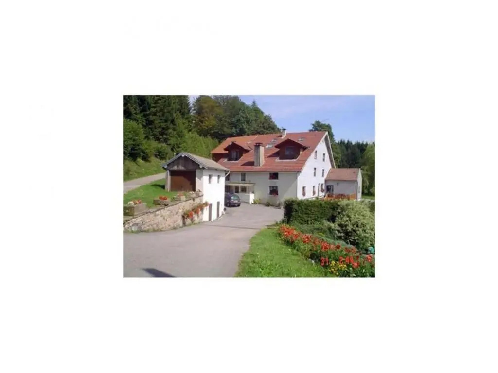 Gîte rénové, nature et jeux près du Val dAjol, 3 ch, 2 sdb, Wifi, équipements bébé, proche ski - FR-1-589-113