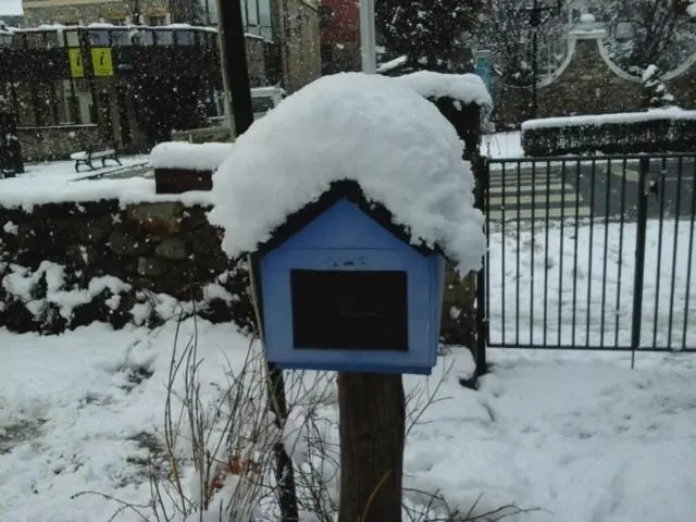 Albergue Pájaro L